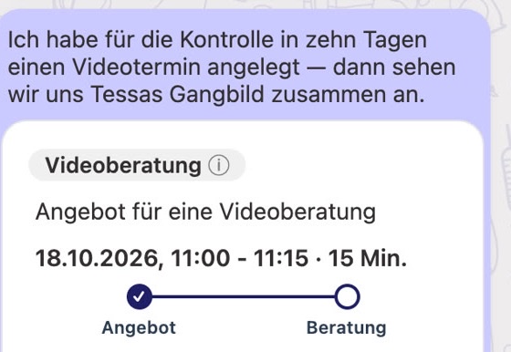 Angebot für eine Videoberatung im Chat mit Datum, Uhrzeit und Dauer