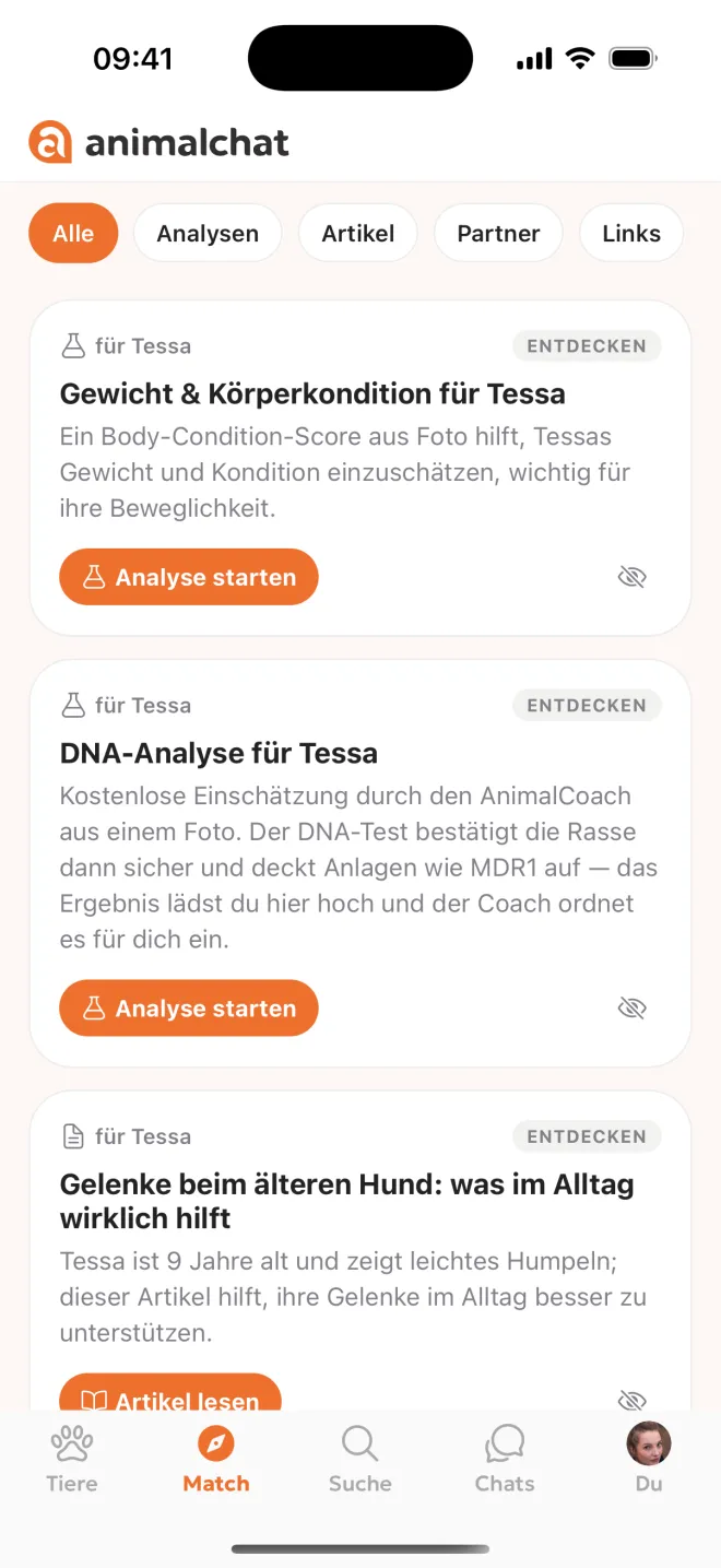 Match in der Tierhalter-App: Vorschläge für Tessa, eine neunjährige Golden-Retriever-Hündin — Analysen und ein Artikel zu ihren Gelenken.